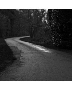 Bird Feeder Cedar Station - Image 1
