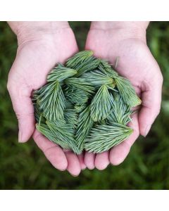 Automatic Sprinkler Timer - Image 1