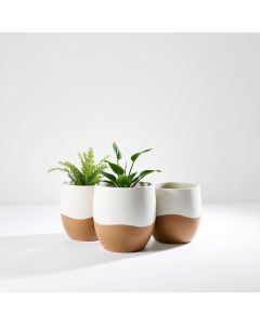 Planter Pot Set Ceramic 3pc - Hero