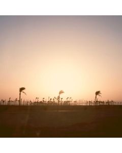 Hedge Trimmer Cordless 24" - Image 1