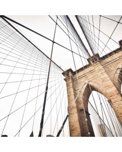 Landscape Fabric 3x50ft - Image 1