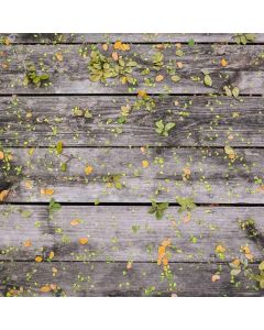 Patio Heater 48,000 BTU - Image 1