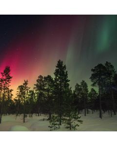 Sticky Notes Variety Pack 24-Pad - Image 1