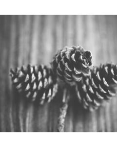 Presentation Clicker Laser - Image 1