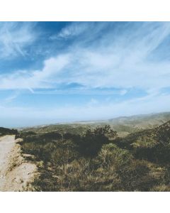 Automatic Pet Feeder WiFi - Image 1