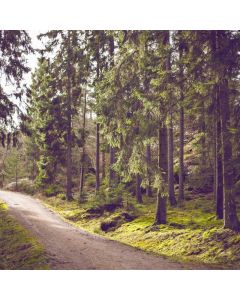 Interactive Cat Toy Laser - Image 1