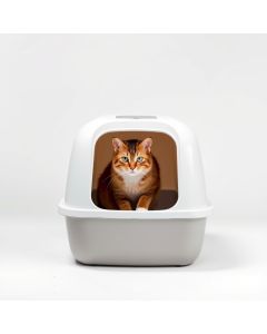 Cat Litter Self-Cleaning Box - Hero