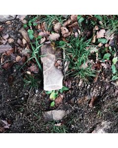 Cat Wet Food Variety 24-Pack - Image 1