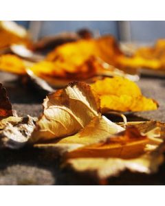 Dog Training Treat Pouch - Image 1