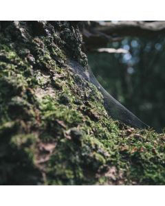Hamster Cage Habitat Deluxe - Image 1