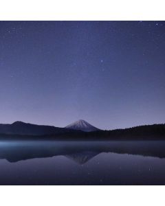 Dog Leash Retractable 26ft - Image 1