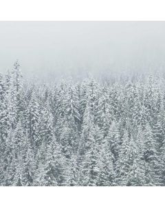 Pearl Necklace Freshwater 18" - Image 1