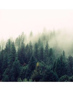 Tennis Bracelet CZ 7" - Image 1