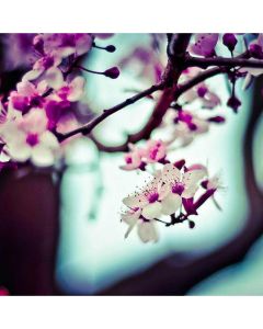 Sapphire Pendant Necklace - Image 1