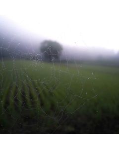 Pocket Watch Vintage Style - Image 1