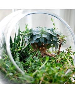 Brooch Vintage Crystal - Image 1