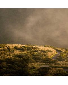 Jewelry Tree Stand Organizer - Image 1