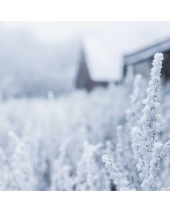 Dark Chocolate Assortment Box - Image 1
