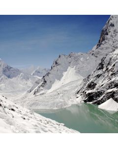 Matcha Green Tea Powder 100g - Image 1