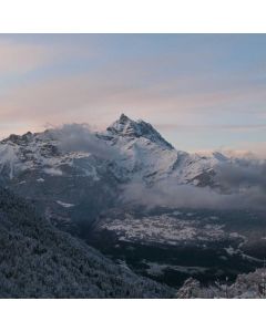 Mixed Nuts Deluxe 2lb - Image 1