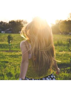 Organic Green Tea Sampler 60ct - Image 1