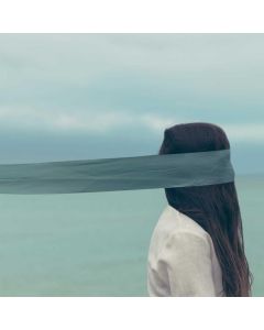 Dried Fruit & Nut Trail Mix 3lb - Image 1