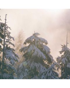 Granola Artisan 3-Pack - Image 1