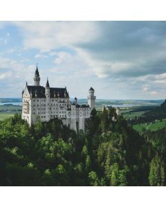 Artisan Bread Flour 10lb - Image 1