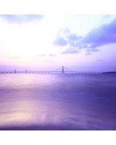 Kombucha Variety Pack 12-Bottle - Image 1