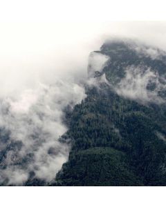 Dark Roast Coffee K-Cups 72ct - Image 1