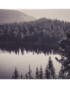 Sushi Making Kit Complete - Image 1