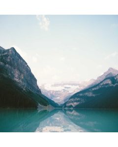 Dried Mushroom Variety 8oz - Image 1