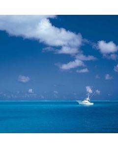 Nursing Pillow U-Shaped - Image 1