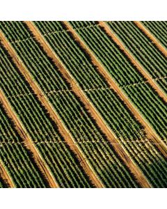 Baby Milestone Blanket Monthly - Image 1