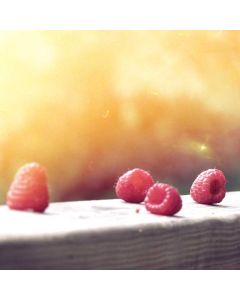 Tool Set Mechanic 256-Piece - Image 1