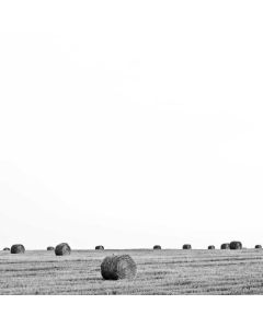 Laser Level Self-Leveling - Image 1