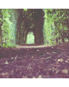 Workbench Folding Portable - Image 1