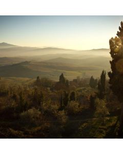 Oscillating Multi-Tool 20V - Image 1