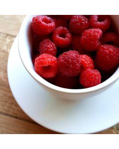 Air Compressor Portable 6-Gal - Image 1