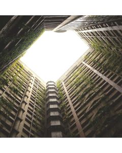 Clamp Set Quick-Grip 6-Pack - Image 1