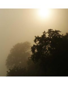 Extension Cord Heavy-Duty 100ft - Image 1