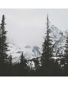 Level Set 3-Piece - Image 1