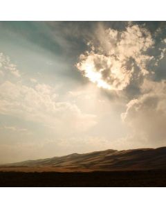 Tool Belt 11-Pocket Leather - Image 1