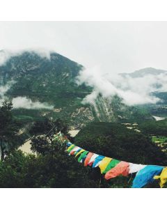 Violin Full Size 4/4 Outfit - Image 1