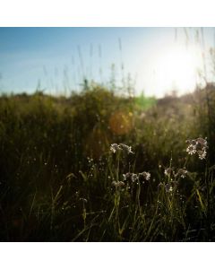 Music Stand Folding Professional - Image 1