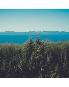 Guitar Tuner Clip-On Chromatic - Image 1