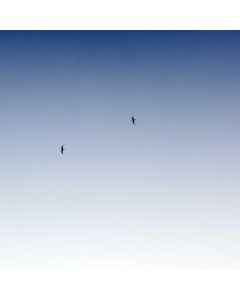 Guitar Pedalboard with Bag - Image 1