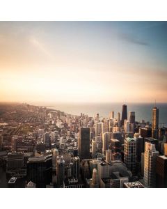 Guitar Capo Quick-Change - Image 1