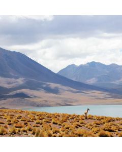 Acrylic Paint Set 24-Color - Image 1