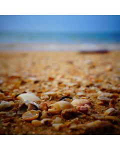 Easel Tripod Floor Standing - Image 1